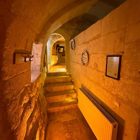 Coco Cave 2*