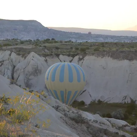 Coco Cave Мініготель
